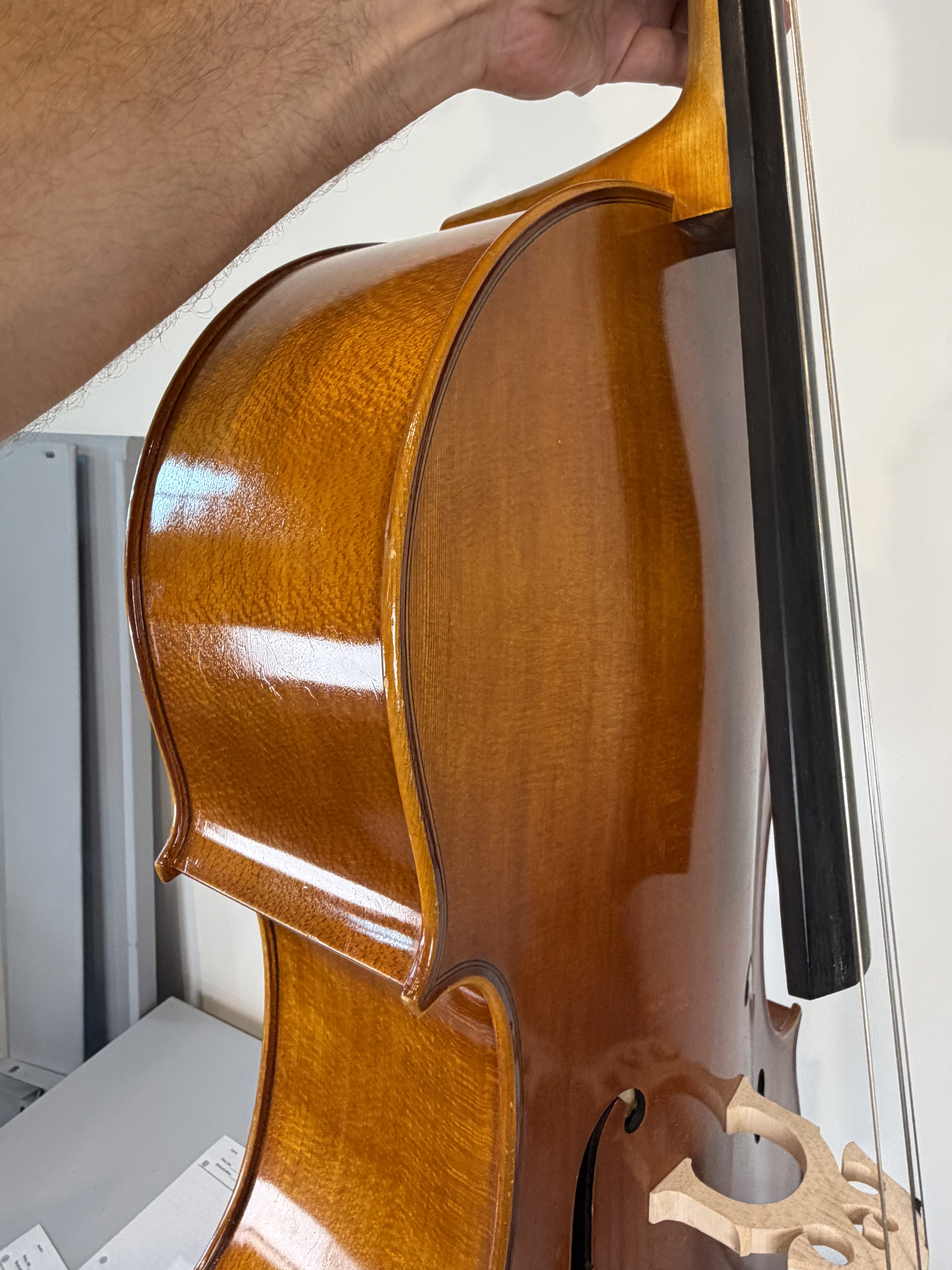 Strobel MC-100 4/4 Full Size Cello — Eastman Strings 2008, Carbon Bow