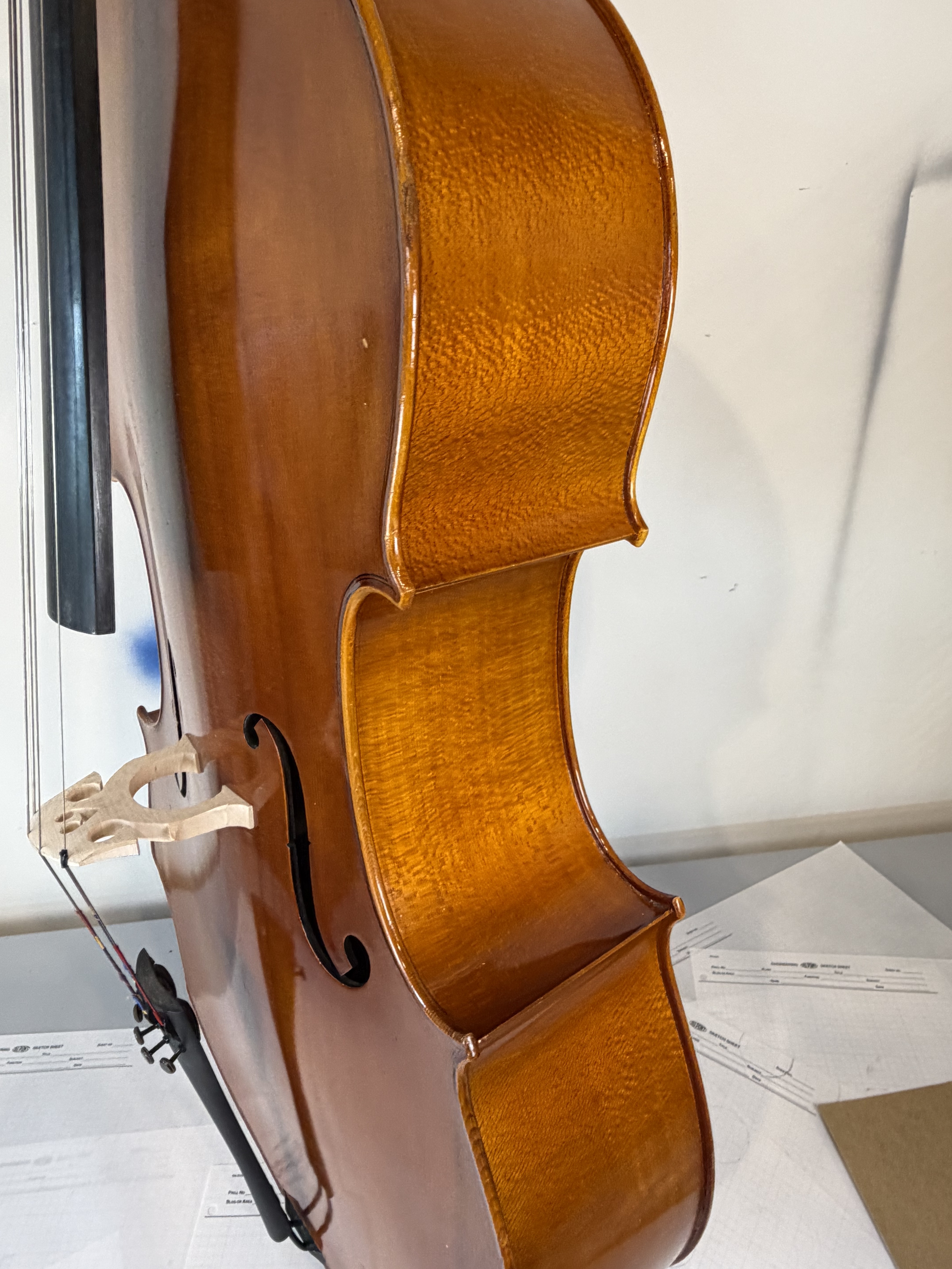 Strobel MC-100 4/4 Full Size Cello — Eastman Strings 2008, Carbon Bow