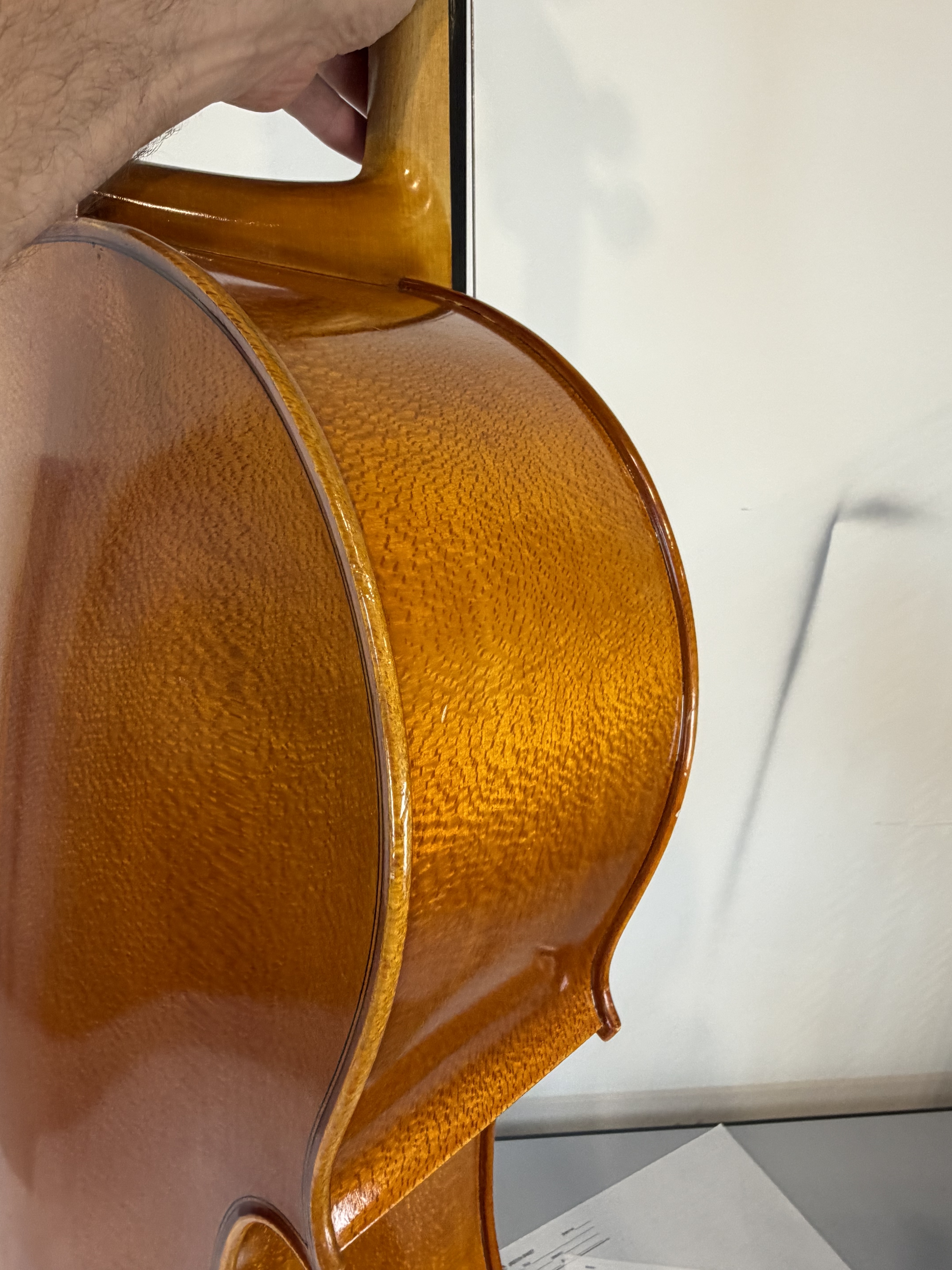 Strobel MC-100 4/4 Full Size Cello — Eastman Strings 2008, Carbon Bow