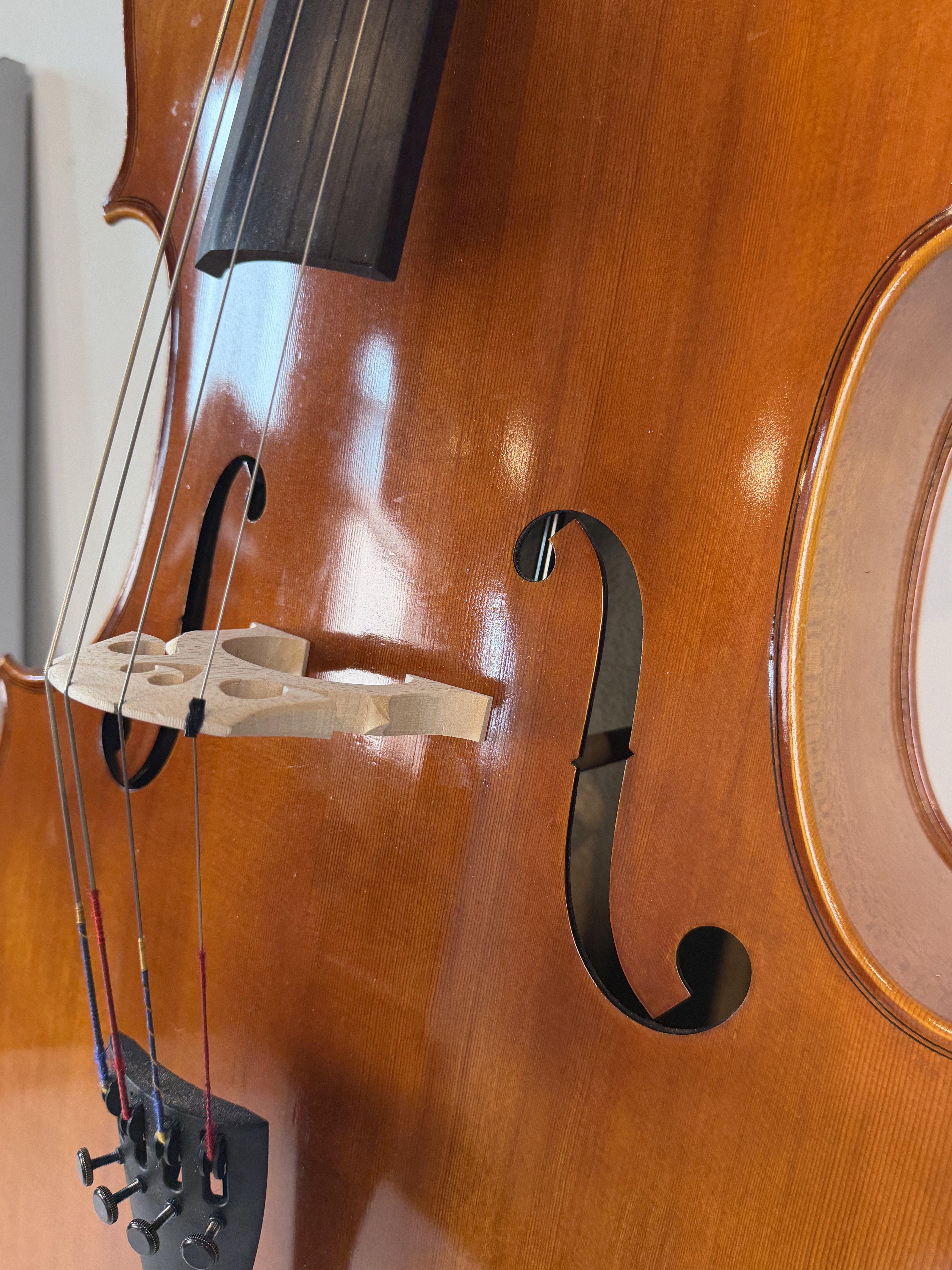 Strobel MC-100 4/4 Full Size Cello — Eastman Strings 2008, Carbon Bow