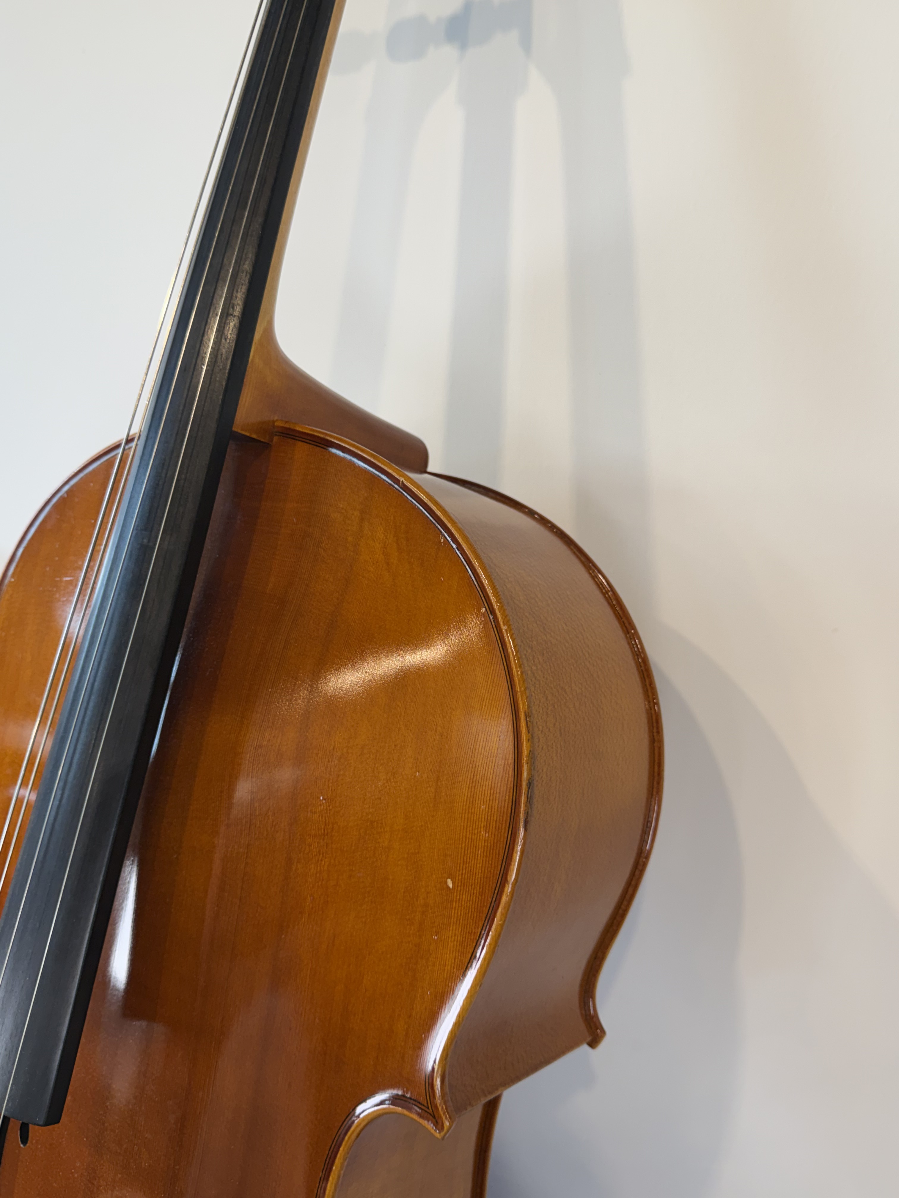 Strobel MC-100 4/4 Full Size Cello — Eastman Strings 2008, Carbon Bow