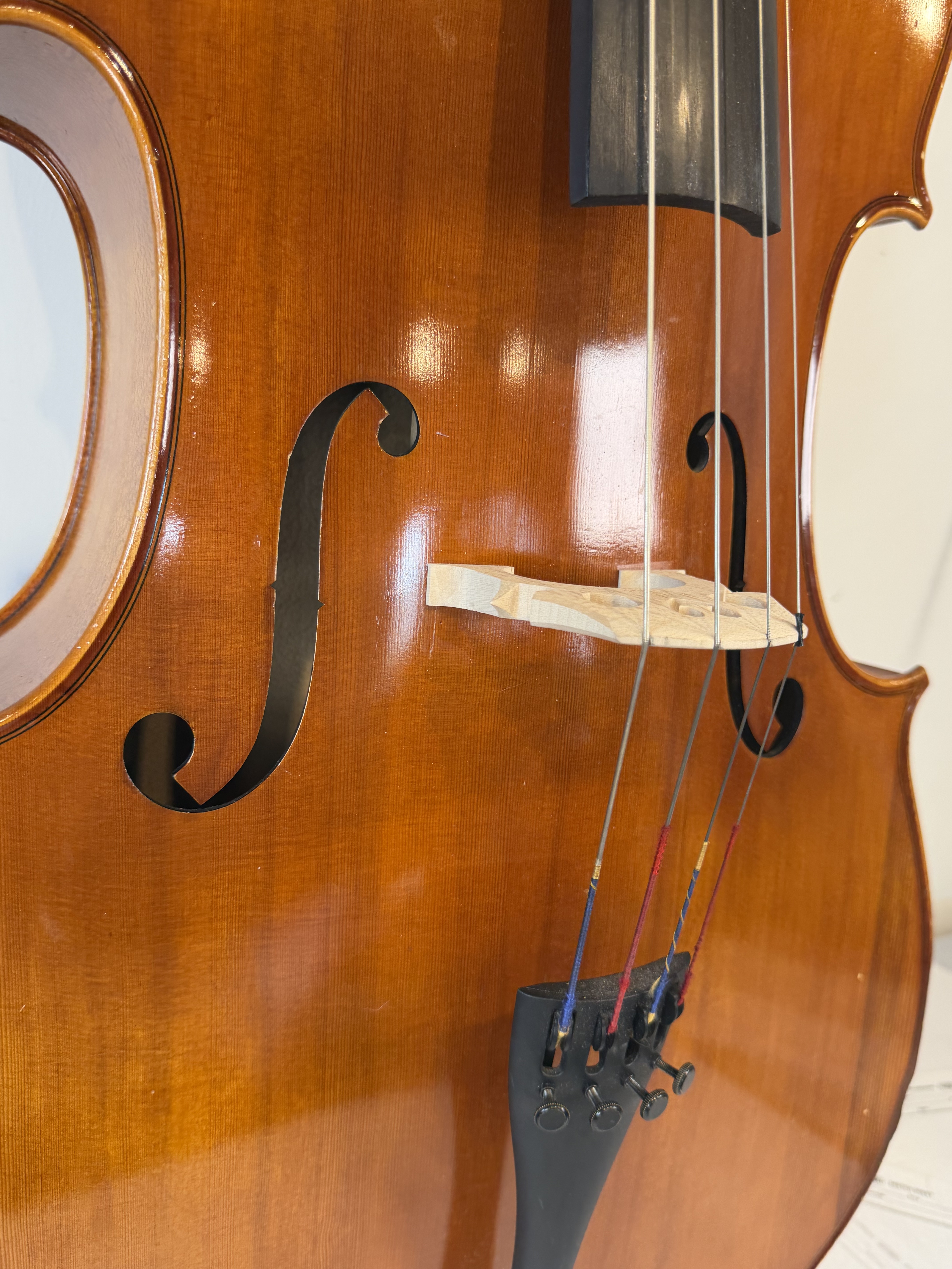 Strobel MC-100 4/4 Full Size Cello — Eastman Strings 2008, Carbon Bow