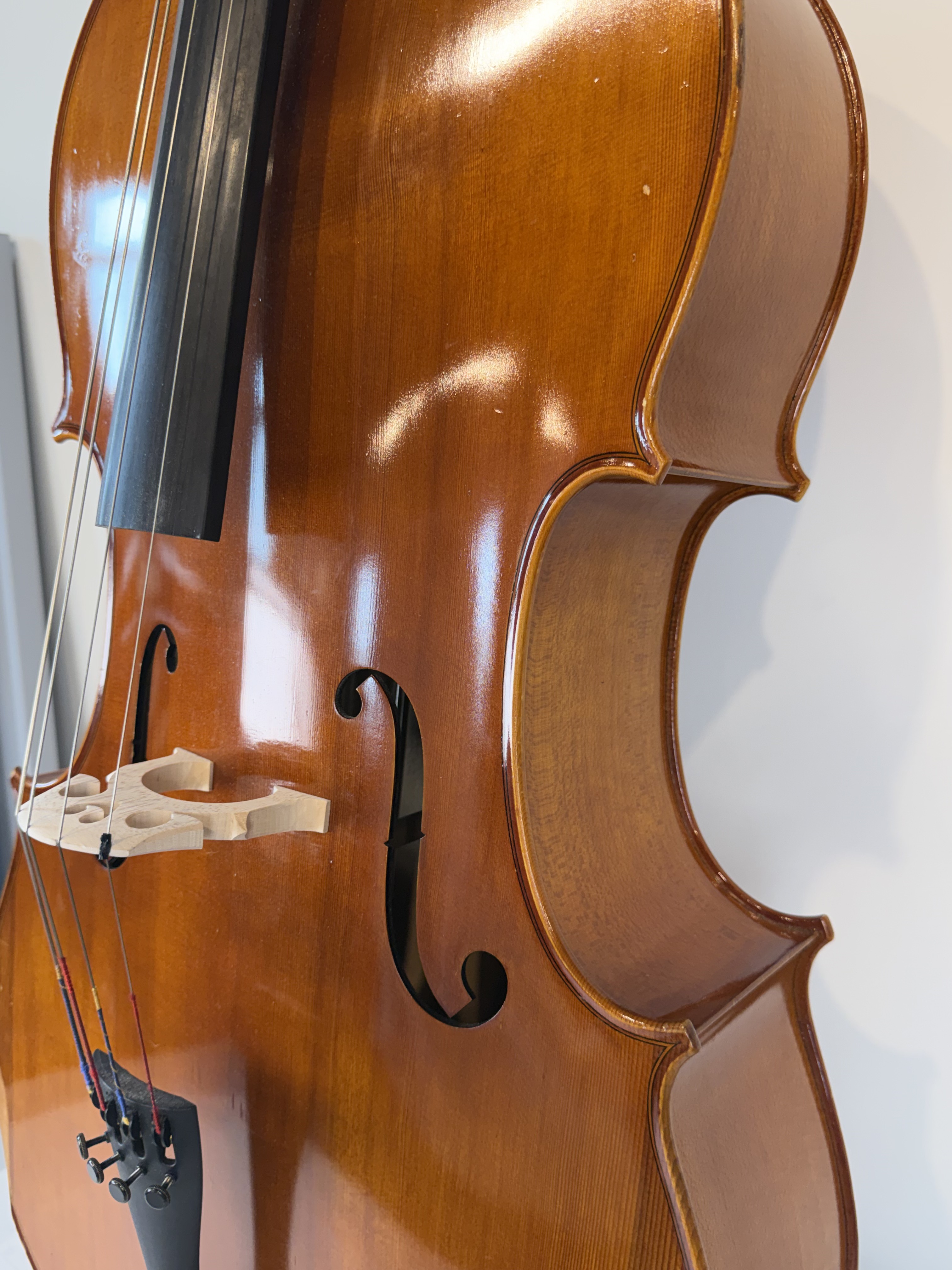 Strobel MC-100 4/4 Full Size Cello — Eastman Strings 2008, Carbon Bow