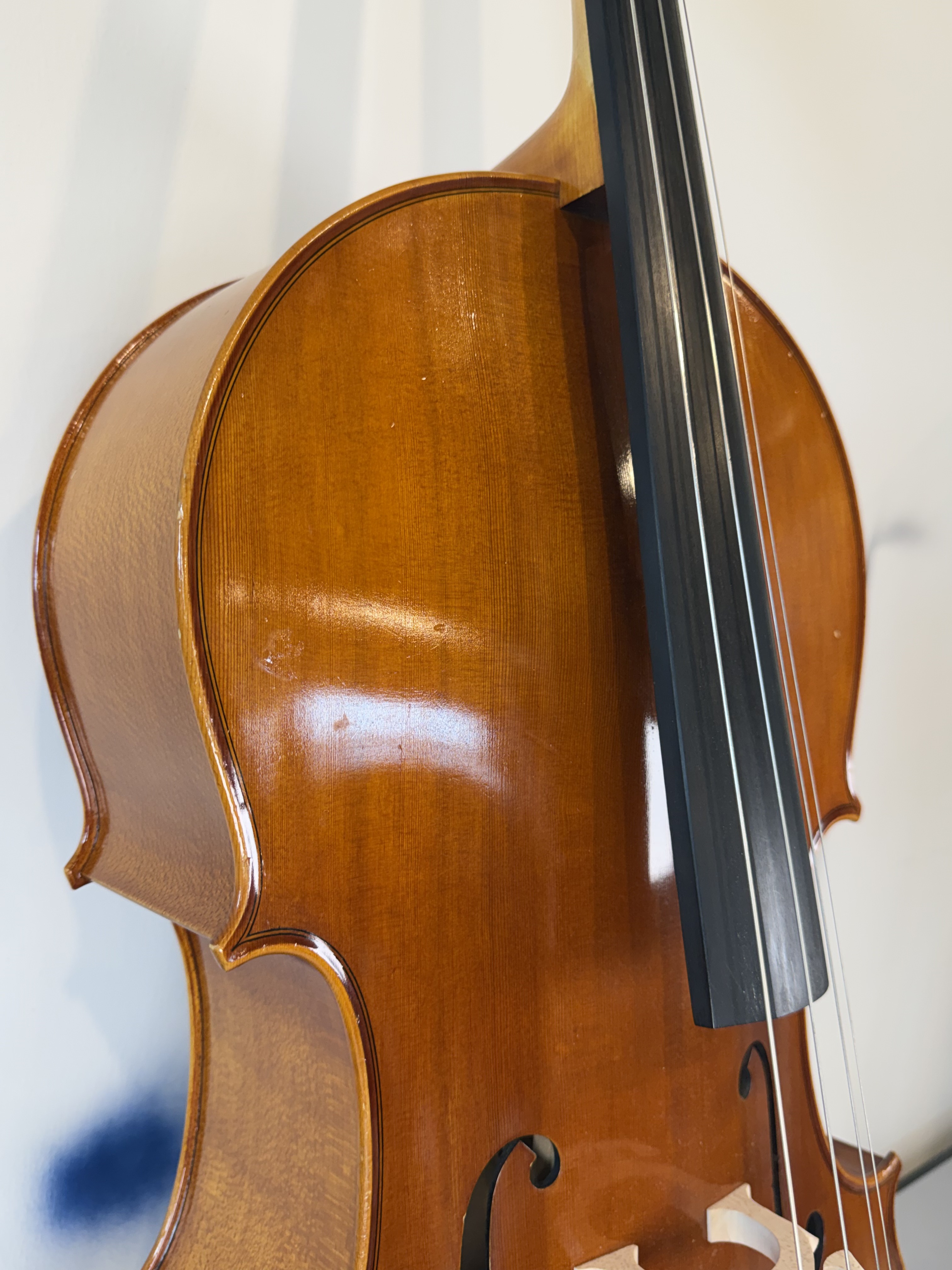 Strobel MC-100 4/4 Full Size Cello — Eastman Strings 2008, Carbon Bow