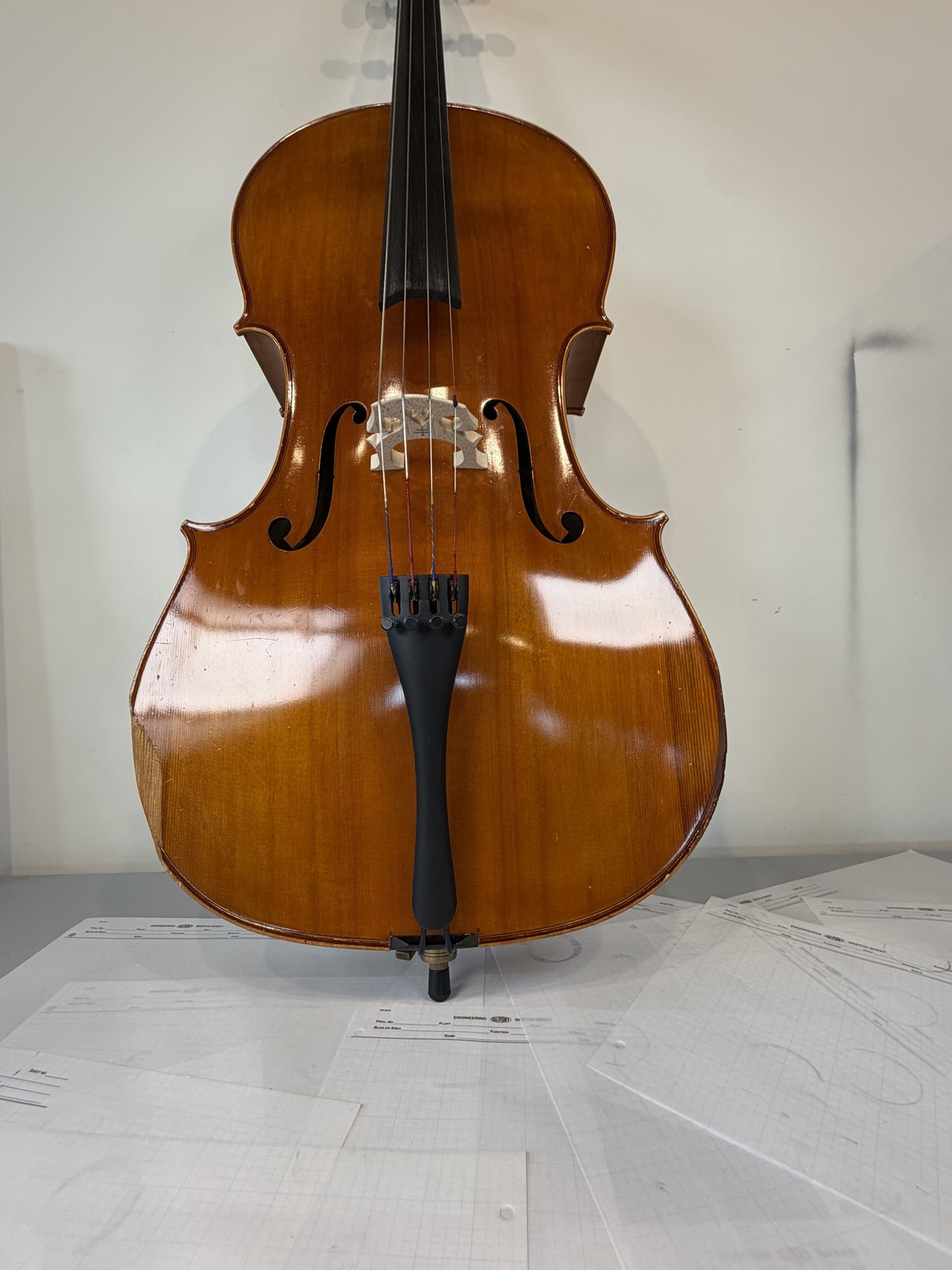 Strobel MC-100 4/4 Full Size Cello — Eastman Strings 2008, Carbon Bow