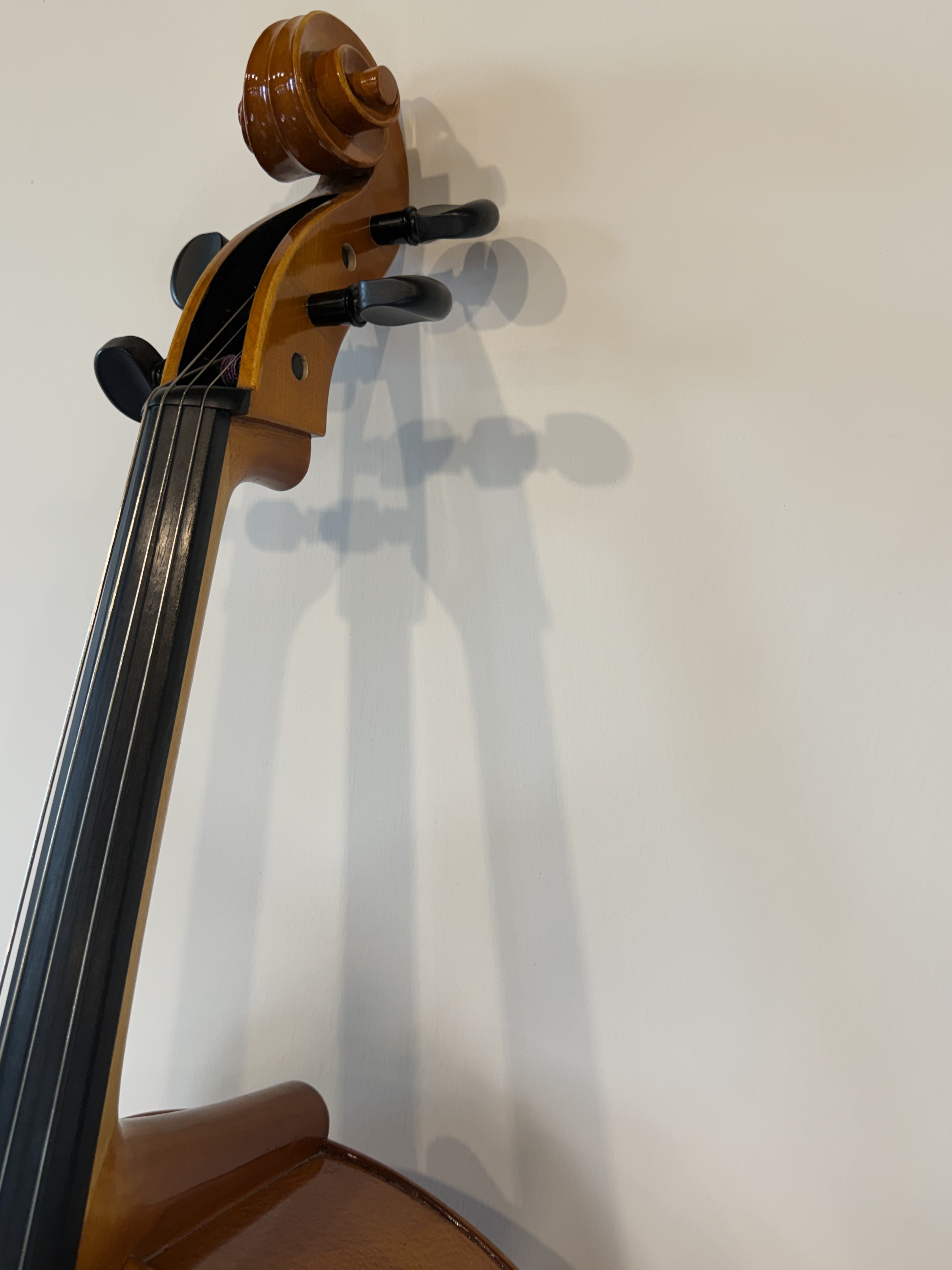 Strobel MC-100 4/4 Full Size Cello — Eastman Strings 2008, Carbon Bow
