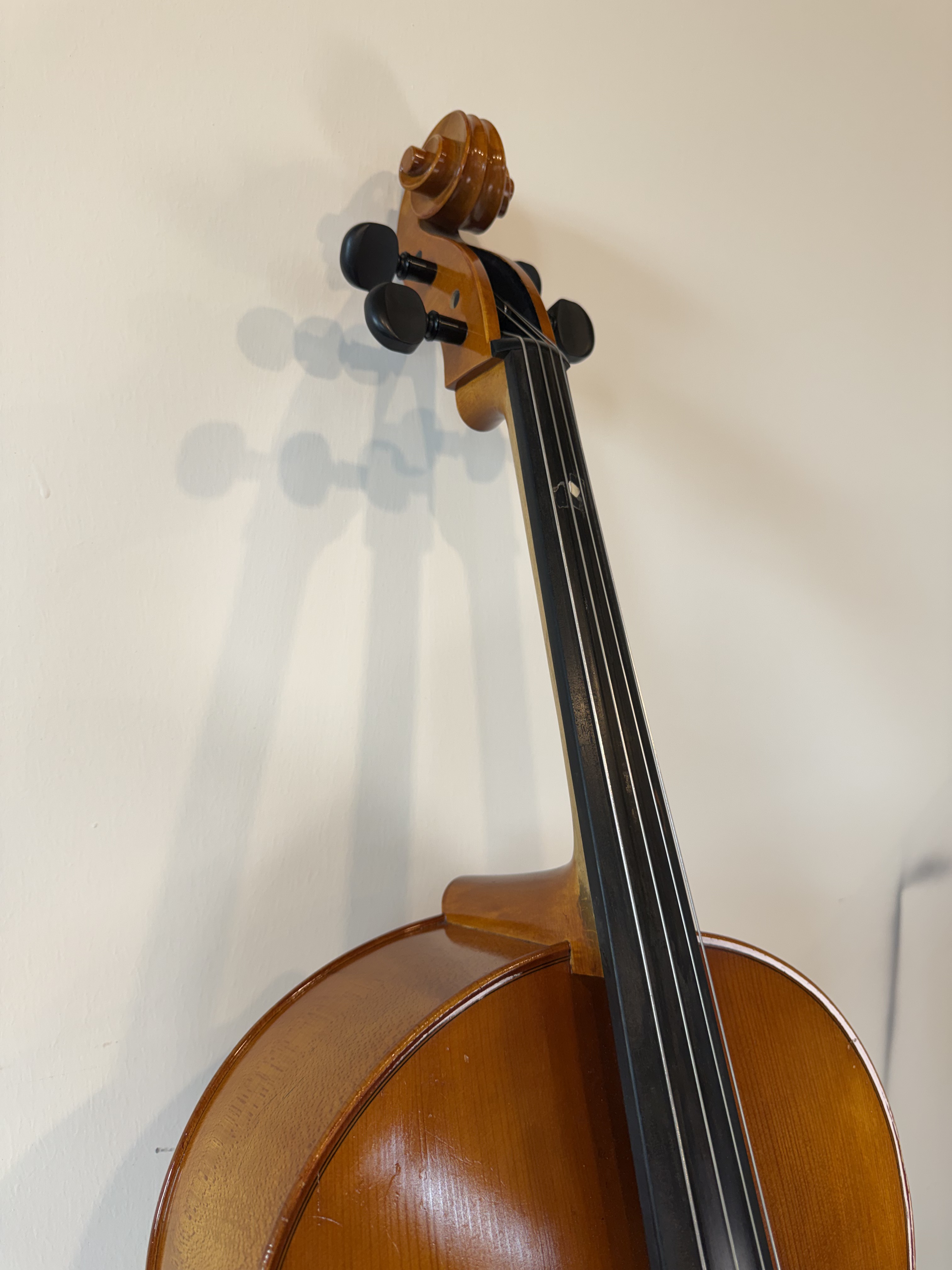 Strobel MC-100 4/4 Full Size Cello — Eastman Strings, 2008, Bow + Bag
