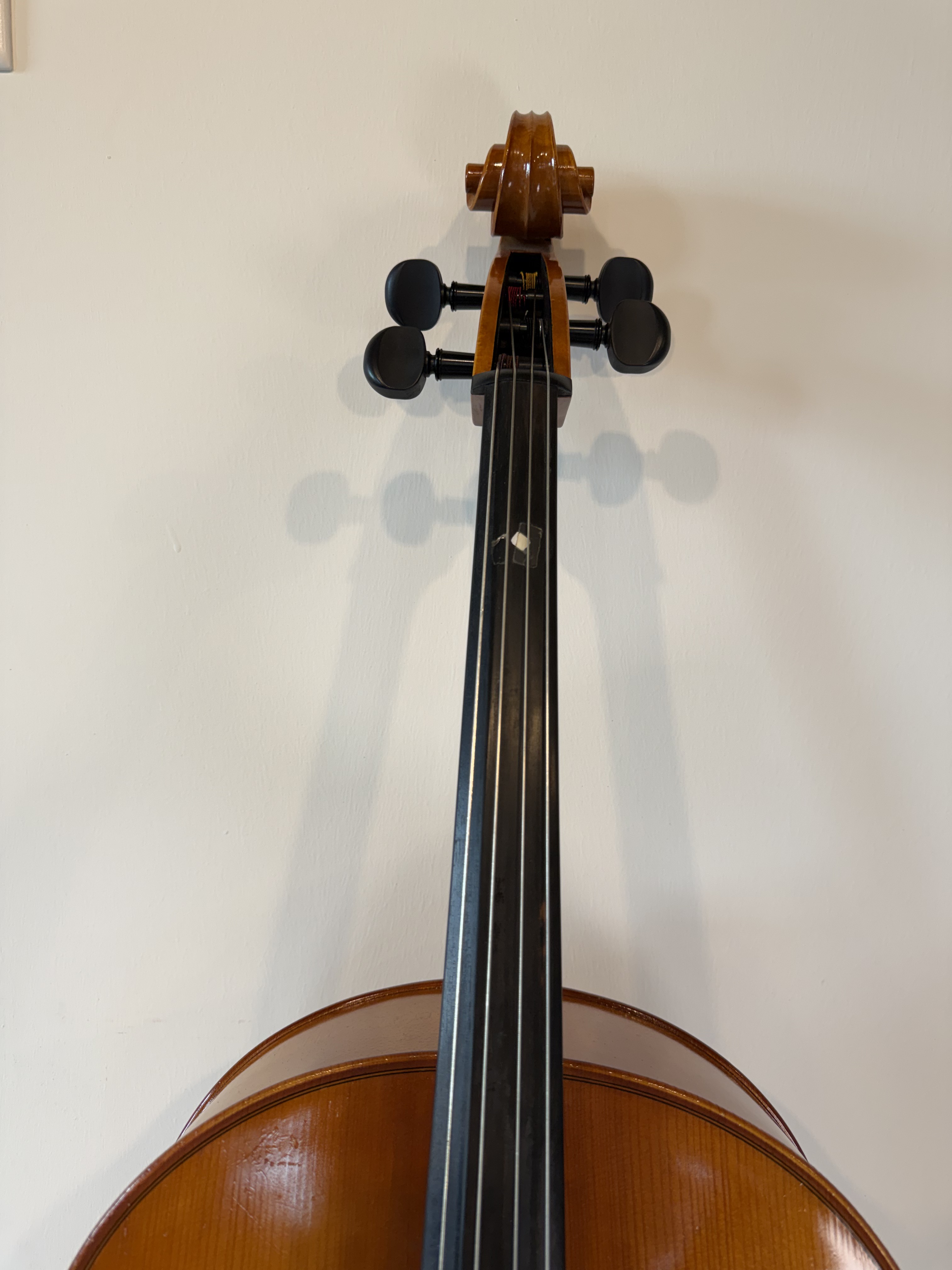 Strobel MC-100 4/4 Full Size Cello — Eastman Strings, 2008, Bow + Bag