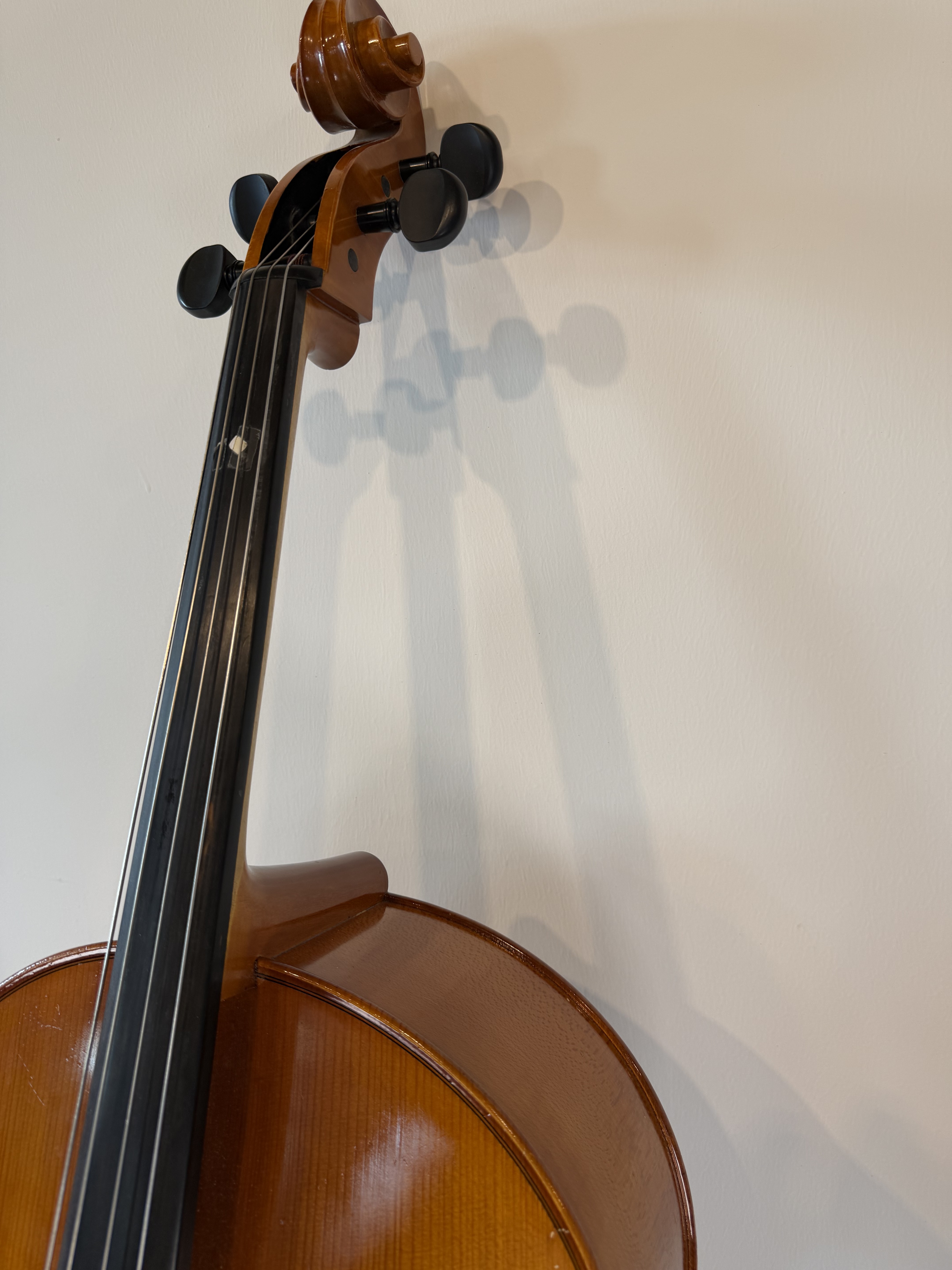 Strobel MC-100 4/4 Full Size Cello — Eastman Strings, 2008, Bow + Bag