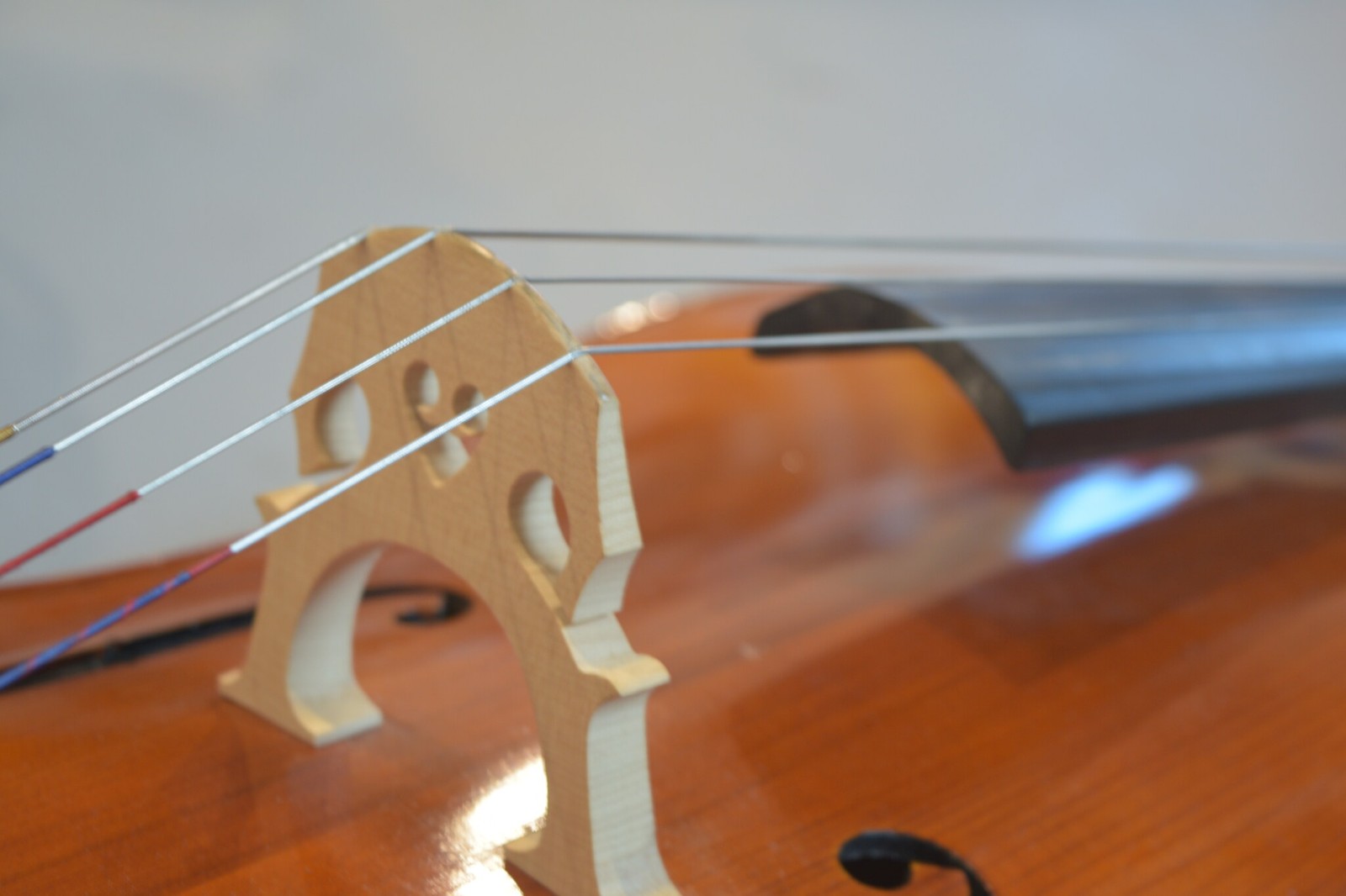 Strobel MC-100 4/4 Full Size Cello — Eastman Strings, 2008, Bow + Bag