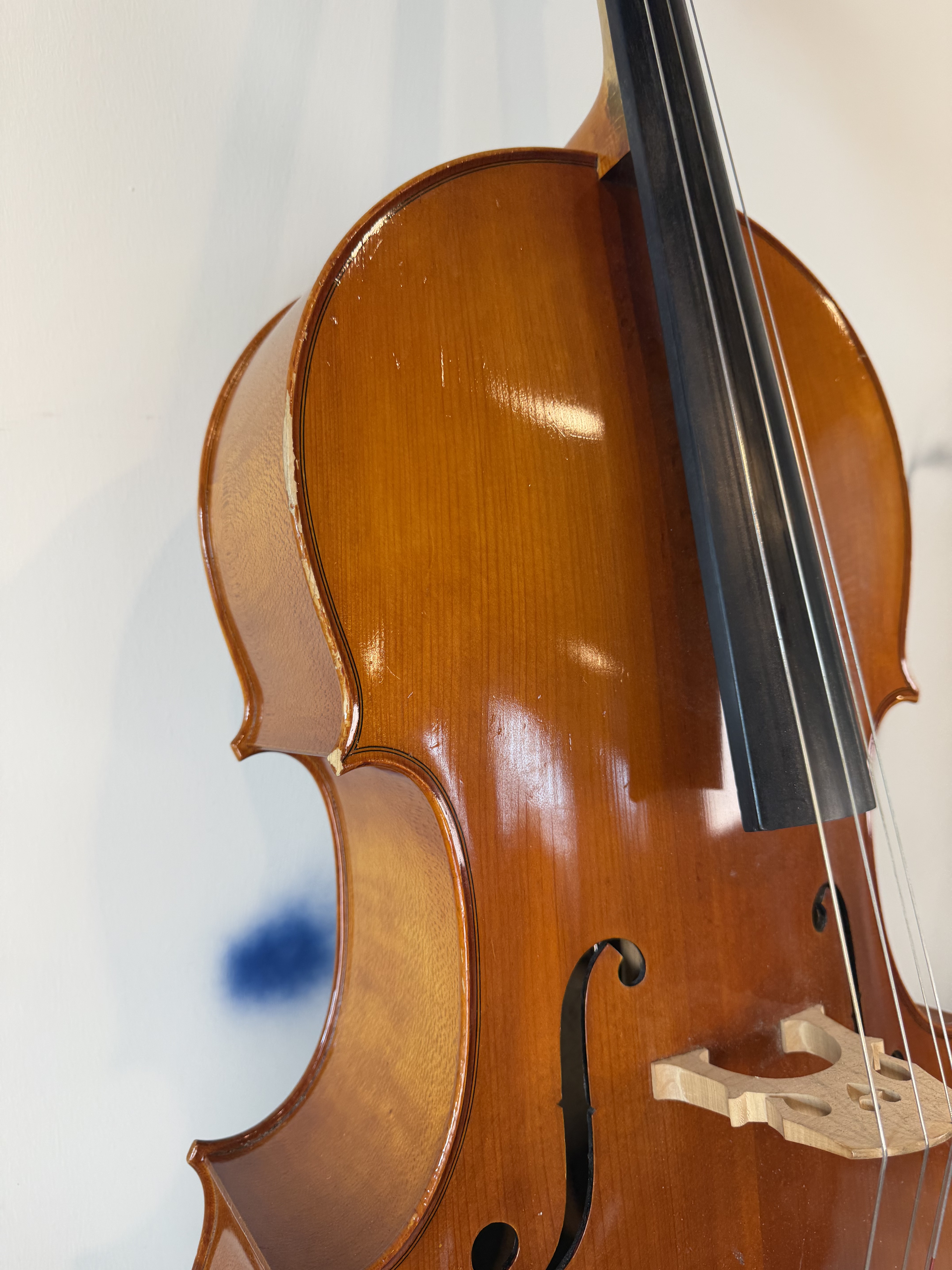 Strobel MC-100 4/4 Full Size Cello — Eastman Strings, 2008, Bow + Bag