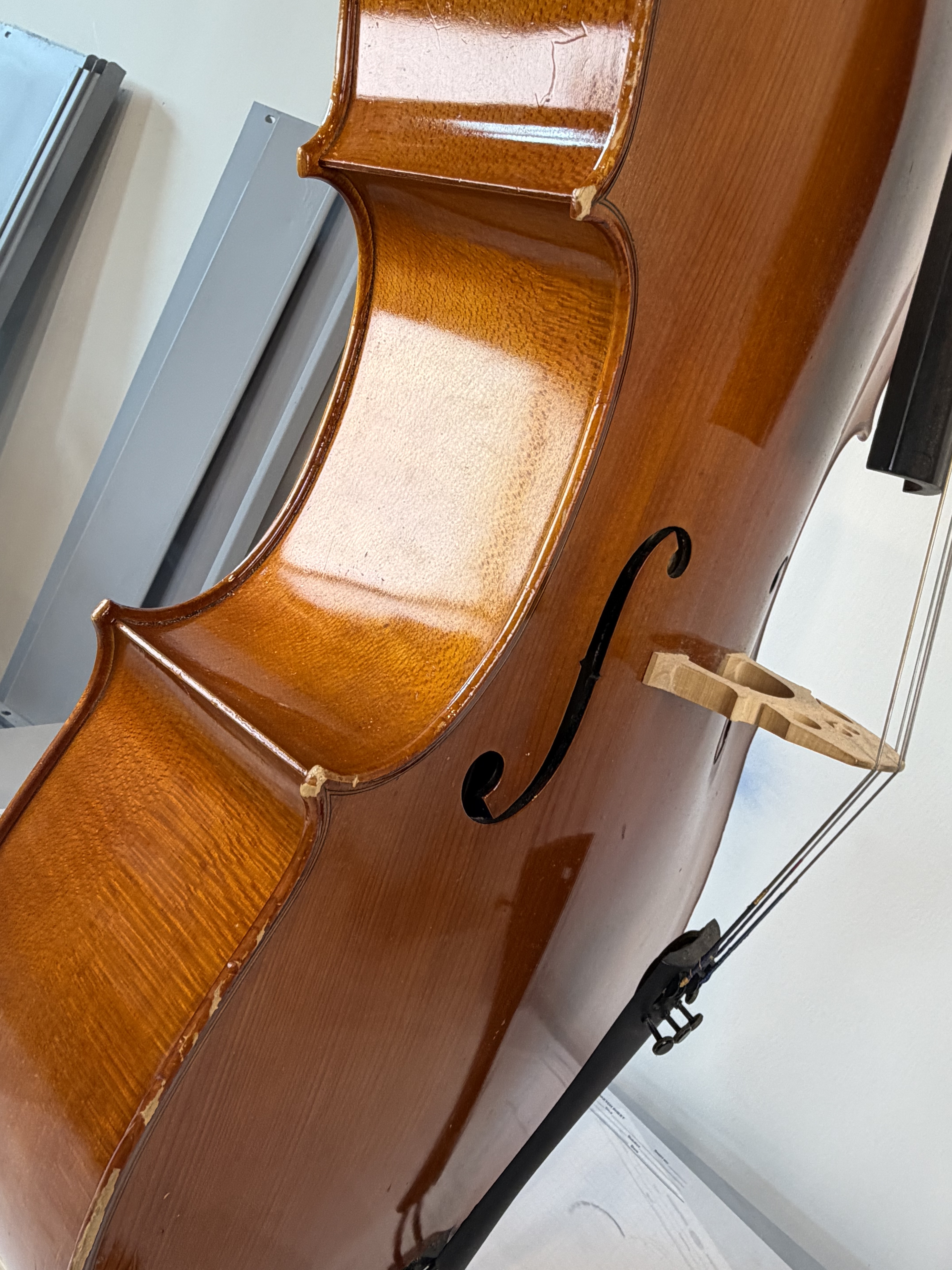 Strobel MC-100 4/4 Full Size Cello — Eastman Strings, 2008, Bow + Bag