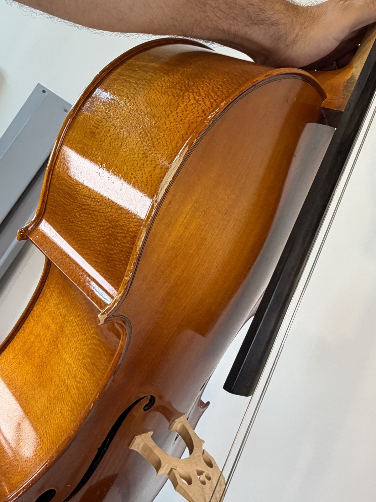 Strobel MC-100 4/4 Full Size Cello — Eastman Strings, 2008, Bow + Bag